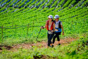 BIB: 1574, 232
                            <button type="button" onclick="openModal(19163532)" class="btn btn-primary btn-sm float-right btn-popup" data-toggle="modal" data-target=".modal-high-quality">
                        <i class="fas fa-shopping-cart"></i> Add to Cart
                    </button>
                                            <button type="button" onclick="isThisMe(19163532, true)" class="btn btn-success btn-sm float-right btn-popup btn-isme hidden" data-toggle="tooltip" data-placement="bottom" title="นี่คือรูปของคุณใช่ไหม คลิกที่นี่เพื่อเอาเข้าอัลบั้ม">
                        <i class="fas fa-plus"></i> Add to album
                    </button>
                    <button type="button" onclick="isThisMe(19163532, false)" class="btn btn-warning btn-sm float-right btn-popup btn-isnotme hidden">
                        <i class="fas fa-ban"></i> Remove from album
                    </button>